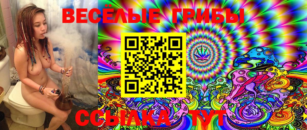 Псилоцибиновые грибы GOLDEN TEACHER Ржев